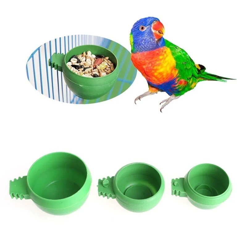 Delysia King Pet Bird Bowl
