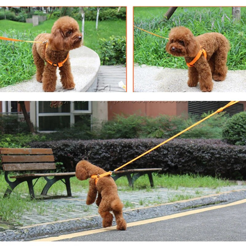 Módne LED elektronické postroje pre domáce zvieratá, nylonové doplnky pre psov, blikajúce svetlo, vodítko pre domáce zvieratá, lano, opasok, svietiaca vesta, potreby pre domáce zvieratá