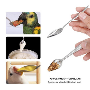 Κουτάλι τροφοδοσίας πουλιών Κλουβί πουλιών παπαγάλος κατοικίδιο ζώο Προσθήκη τροφής Κουτάλι από ανοξείδωτο χάλυβα Τροφή για πουλί Κουτάλι τροφής Προμήθειες πουλιών