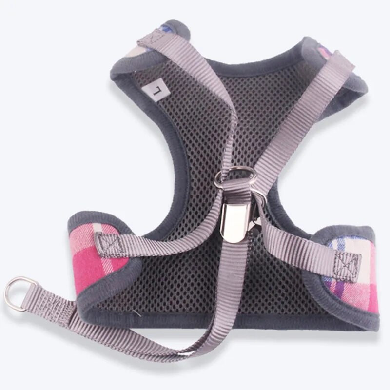 Mažų šunų petnešų ir pavadėlio rinkinys naminių kačių liemenių petnešėlės su peteliškės tinkleliu paminkštintais pavadėliais mažiems šuniukų čihuahua jorko mopsams