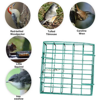 Πράσινο τετράγωνο τετράγωνο ψωμί Τροφοδότης πουλιών Εξωτερική συσκευή τροφής πουλιών Suet Feeder Κλουβί πουλιών Γρήγορη παράδοση