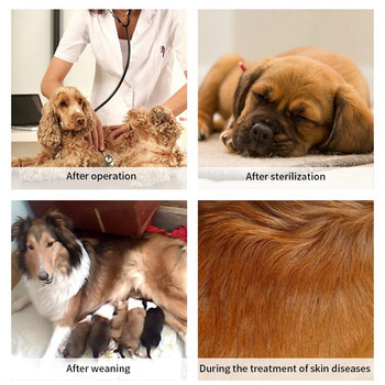 Модално облекло за възстановяване на кучета Хирургически костюм за стерилизация на домашни любимци Кучешка риза против облизване на рани за големи кучета Гащеризон с четири крака