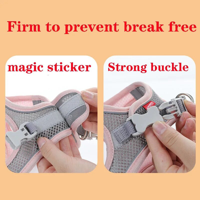 Koerte rakmed Vest Rind Kass Kaelarihmad Köis Väikesed koerad Helkur Hingav Reguleeritav Õues jalutamiseks Reisitarbed Lemmikloomatarbed