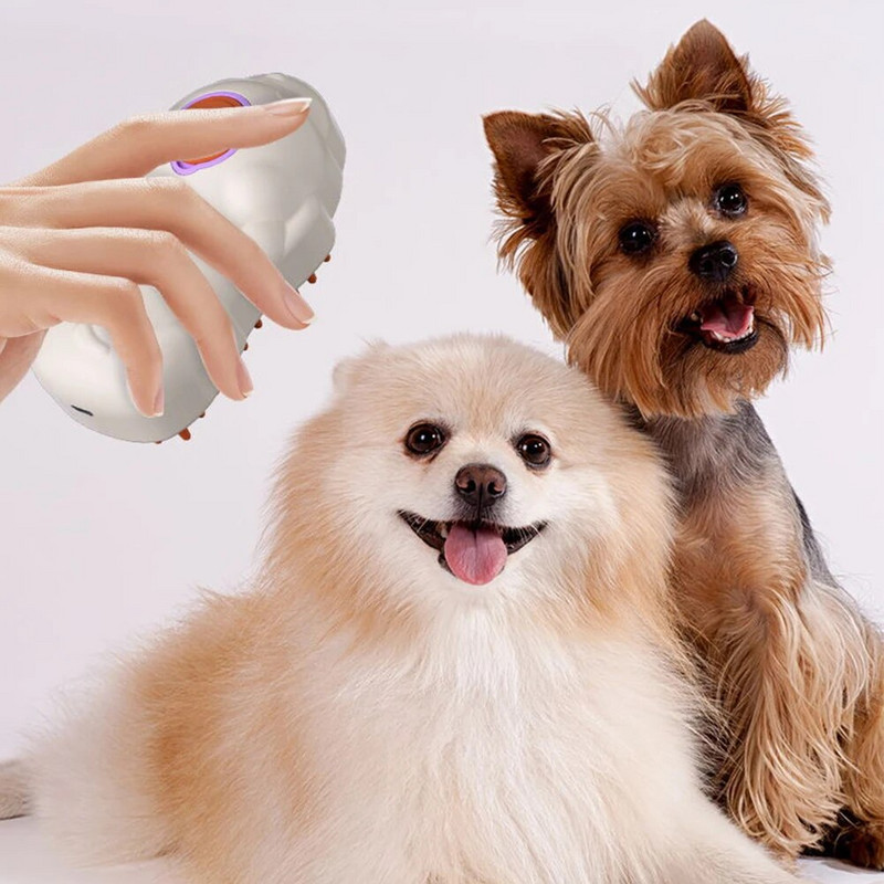 3 viename kačių garų šepetys Daugiafunkcis garinis naminių gyvūnėlių plaukų šepetys Įkraunamas garuojantis šepetys ilgo ir trumpo plauko katėms