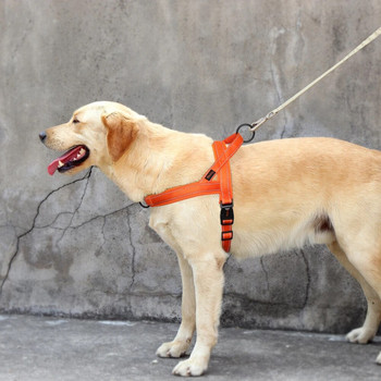Ανακλαστικό νάιλον λουρί για σκύλους Ρυθμιζόμενο εξωτερικό χώρο χωρίς τράβηγμα Μικρό μεσαίο μεγάλο γιλέκο λουριού για σκύλους κατοικίδιων ζώων για κατοικίδια γαλλικού μπουλντόγκ Perro
