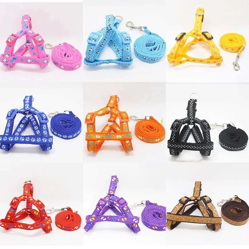 2019. aasta lemmikloomakoerte rakmed jalutusrihmad kutsika kaelarihm väikestele koertele, keskmise suurusega koertele mõeldud tooted, reguleeritavad lemmikloomatarvikud Arnes Perro 35