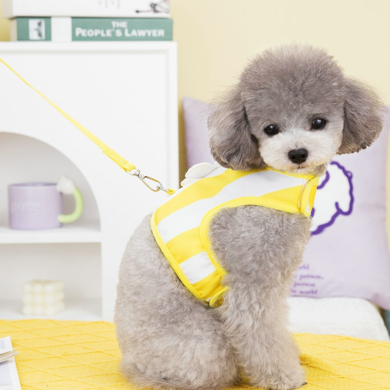 Set de ham pentru haine pentru animale de companie Pisicuțe Cățeluș în dungi Floare de soare pentru câini de dimensiuni mici și mijlocii Cureaua pentru piept frânghie de tracțiune Vestă Chihuahua