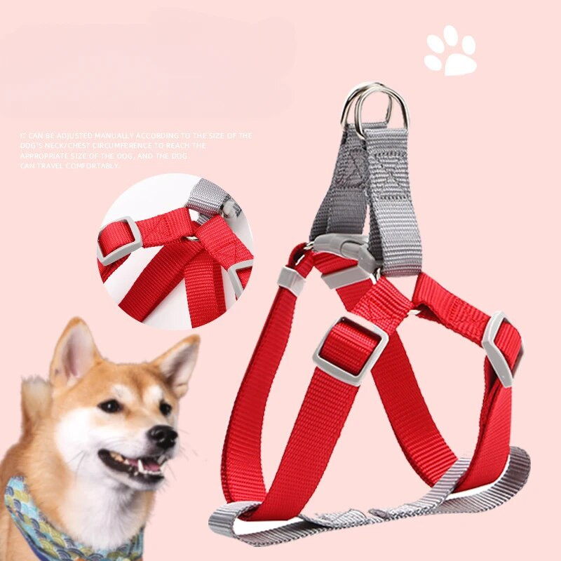 Kucēnu siksnas Regulējamas Elpojošas Suņu Vestes Ārā Pastaigas Siksnas un siksnas komplekts maziem suņiem