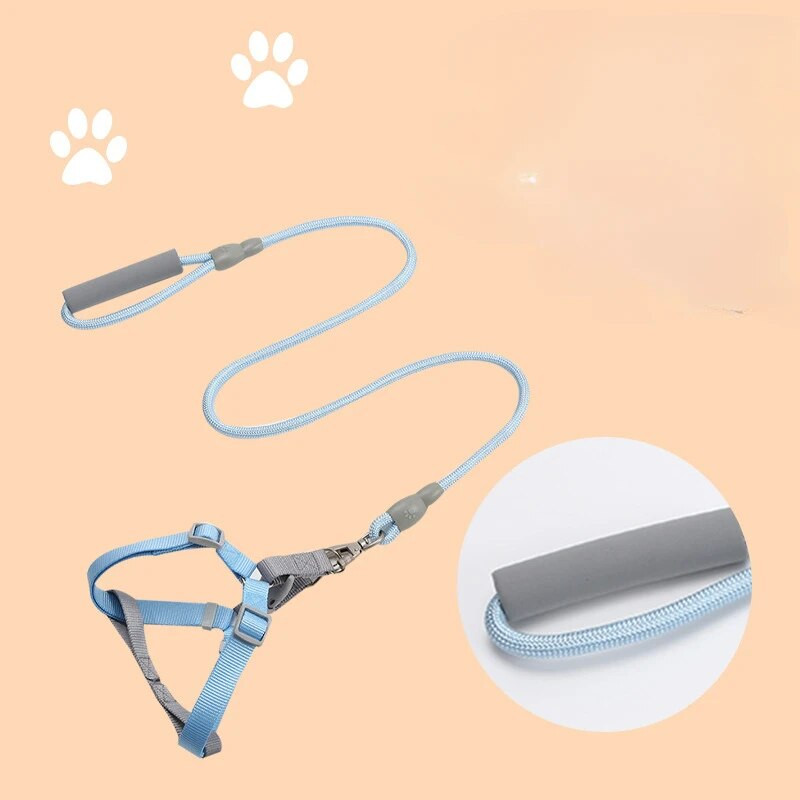 Kucēnu siksnas Regulējamas Elpojošas Suņu Vestes Ārā Pastaigas Siksnas un siksnas komplekts maziem suņiem