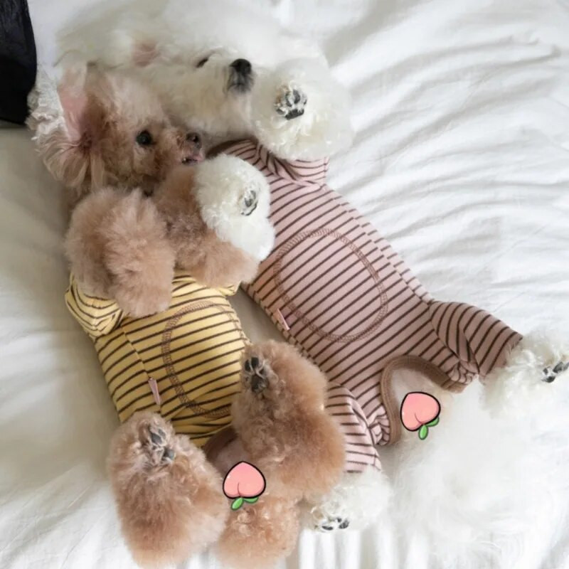 Kutyaruhák Téli meleg Négylábú Body Otthon Négylábú nadrágok Kisállat ruházat Macska Kutya Ruha Teddy Kutya Ruha