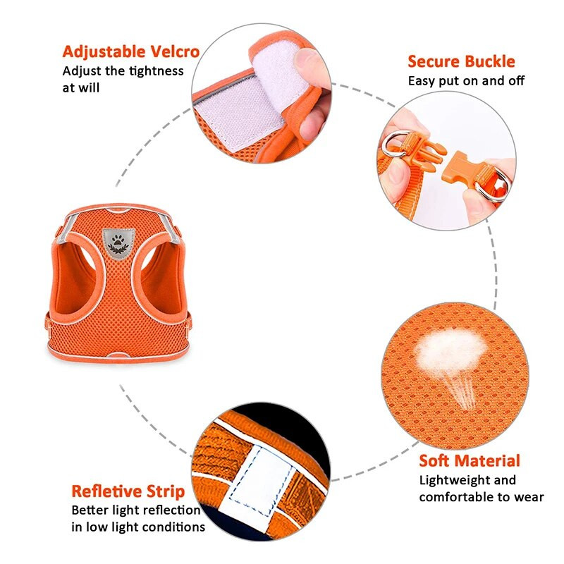Νάιλον διχτυωτό γιακά κουταβιών γάτας Ζώνες με αντανακλαστικό γιλέκο με λουρί και λουρί για σκύλο Chihuahua Pug Μικρό λουρί για περπάτημα
