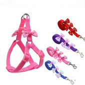 Állítható hám és póráz masnival kis kutyanyakörvvel, nylon macskahám sétakötéllel, mackó chihuahua kölyökkutya számára