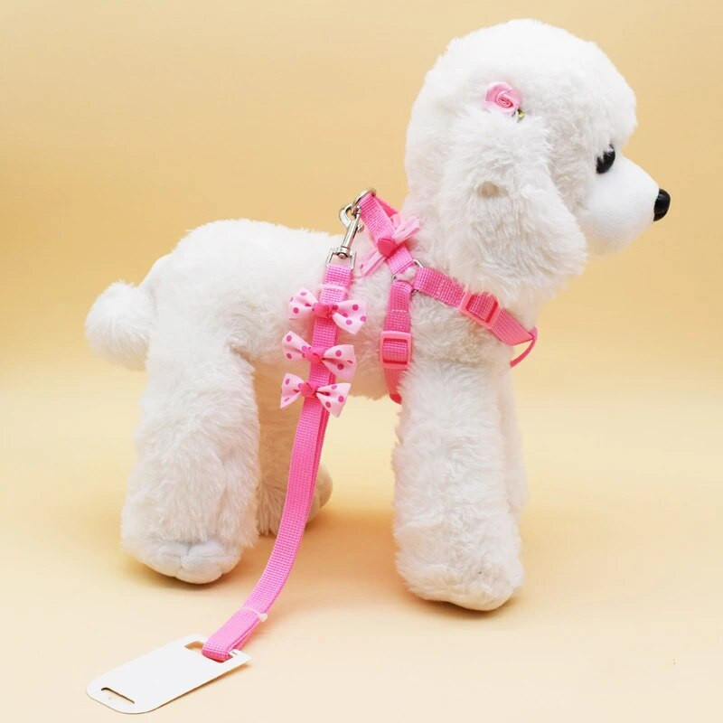 Állítható hám és póráz masnival kis kutyanyakörvvel, nylon macskahám sétakötéllel, mackó chihuahua kölyökkutya számára