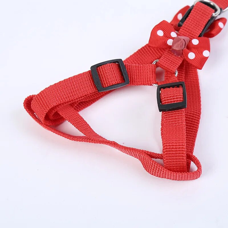 Állítható hám és póráz masnival kis kutyanyakörvvel, nylon macskahám sétakötéllel, mackó chihuahua kölyökkutya számára