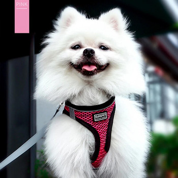 Samll νάιλον κολάρο σκύλου Γιλέκο με αντανακλαστικό μολύβδινο γάτας με λουρί για κατοικίδια Αξεσουάρ για κουτάβι Πράγματα για σκύλους Προμήθειες στήθος