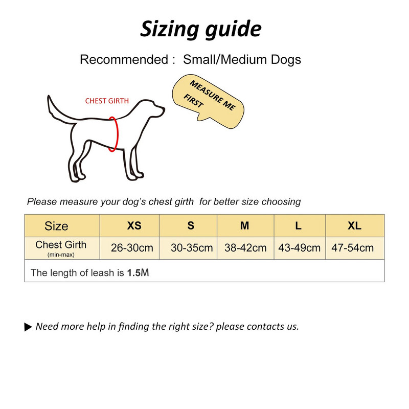 Samll Dog Nylon kaelarihmad Vest kassi plii helkur koos lemmiklooma jalutusrihmaga kutsikatarvikud Koertele mõeldud asjad Tarvikud Rinnapael