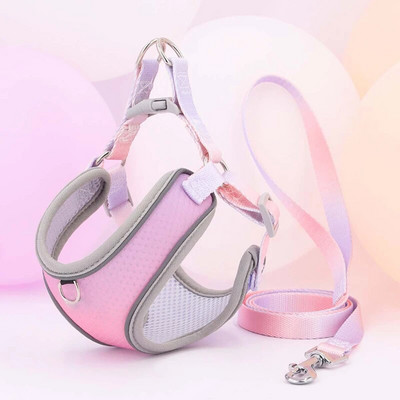 Reflektirajući pojas za kućne ljubimce, remen za pse, uzica, gradijent boje, podesivi pojas, prsluk, ogrlice za male srednje pse, oprema za boravak na otvorenom