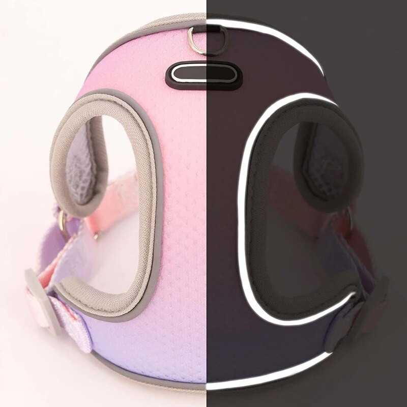 Reflektirajući pojas za kućne ljubimce, remen za pse, uzica, gradijent boje, podesivi pojas, prsluk, ogrlice za male srednje pse, oprema za boravak na otvorenom