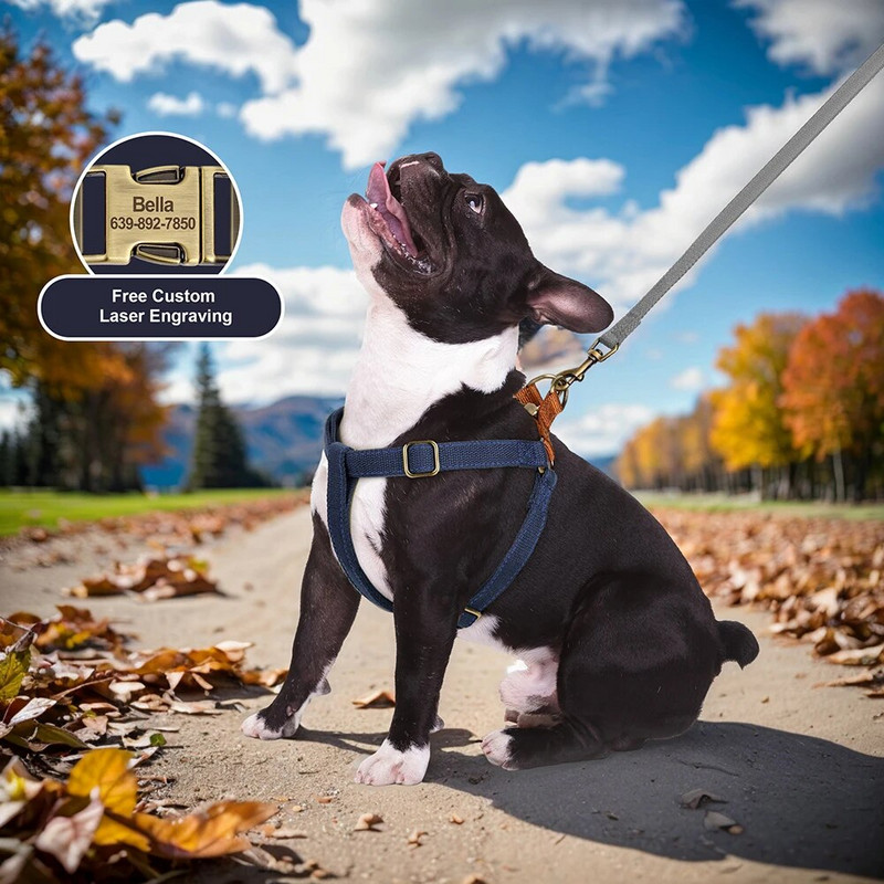 Új egyedi kutyahám Fényvisszaverő nylon kutyahám Mellénymentes, gravírozott kisállatazonosító címke hám kis közepes méretű kutyáknak, mopszoknak