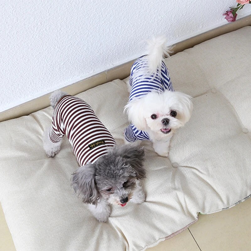 Haina pentru câini Dună Pet Pisică Câine Salopetă Bumbac Toamnă Iarnă Haină pentru câine subțire Haine caldă Cățeluș Hanorac Pet Chihuahua Pijamale