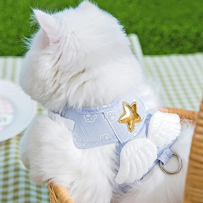 Katės petnešos su pavadėliu Angelo dizaino naminių gyvūnėlių krūtinės dirželis šunų kačiukas lauke vaikščiojimo traukimo lynas, skirtas mažiems šunims katės antkaklis