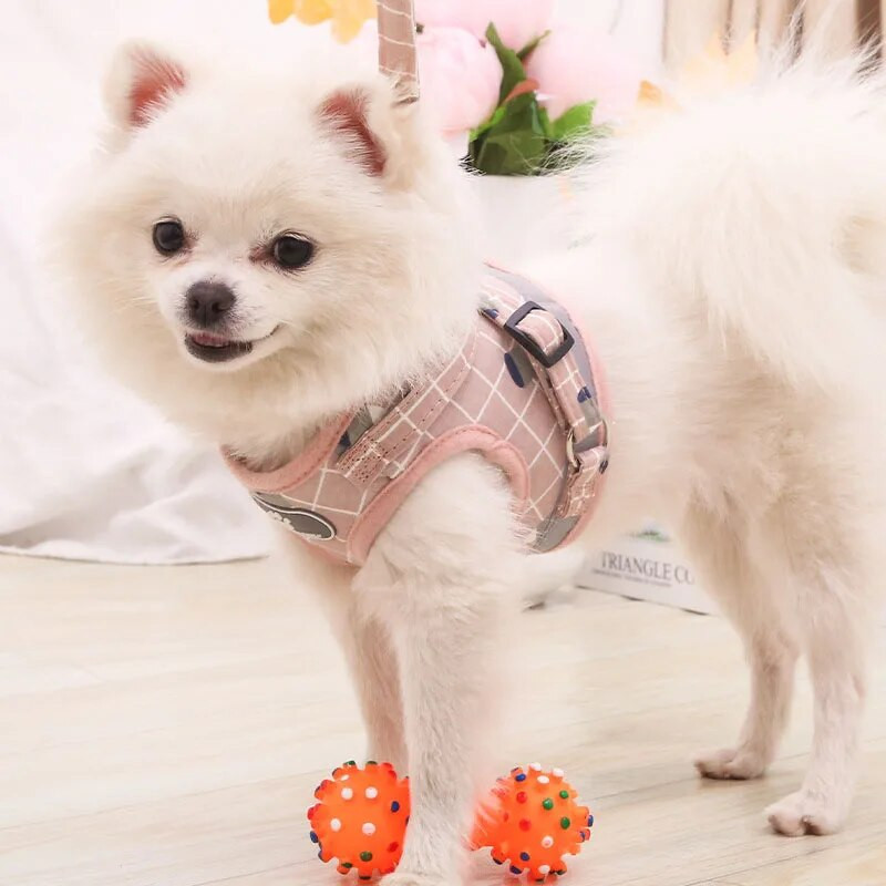 Kutya mellény mellkasi heveder pórázzal Fényvisszaverő légáteresztő macska kutya mellkasi hám Aranyos nyomtatott kényelmes hálós kisállat vontató póráz