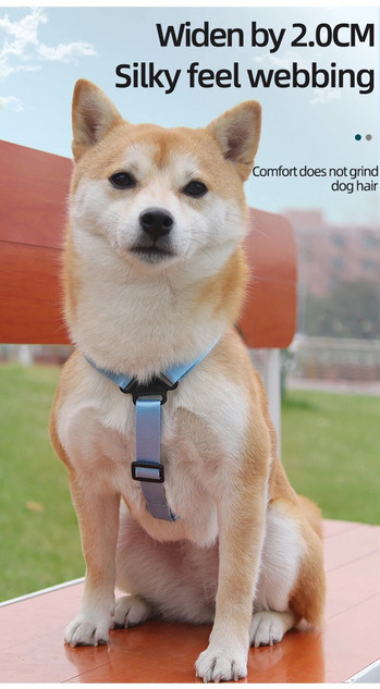 Εξατομικευμένο λουρί για σκύλους με τσάντα σνακ για μικρά σκυλιά Shiba Inu Corgi Self Ρυθμιζόμενο λουρί για κατοικίδια Εξωτερικά προμήθειες