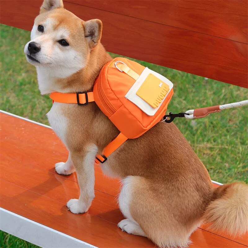 Asmeniniai šunų diržai su užkandžių krepšiu mažiems šunims Shiba Inu Corgi Self kuprinė Reguliuojami naminių gyvūnėlių diržai lauko reikmenys