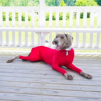 Dog Onesie για μετά από χειρουργική επέμβαση Pet Surgical Recovery Κοστούμι Anti Shedding Bodysuit μακρυμάνικο Claming πιτζάμες με πόδια για σκύλους