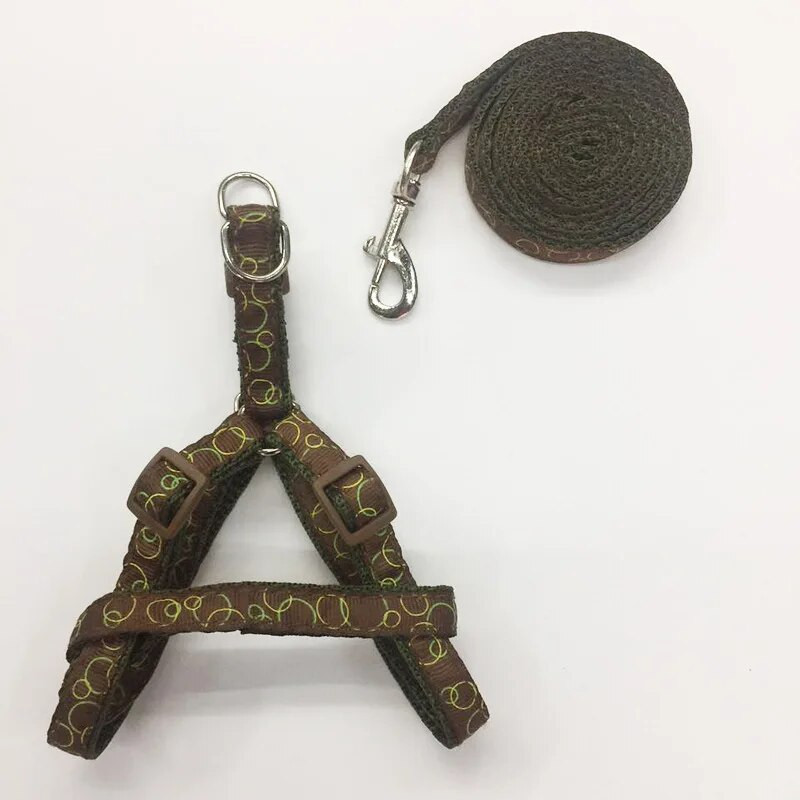 Ρυθμιζόμενο νάιλον γιλέκο και σετ λουριών για μικρούς σκύλους, λουρί για περπάτημα κατοικίδιων σε εξωτερικό χώρο, μπλε και ροζ