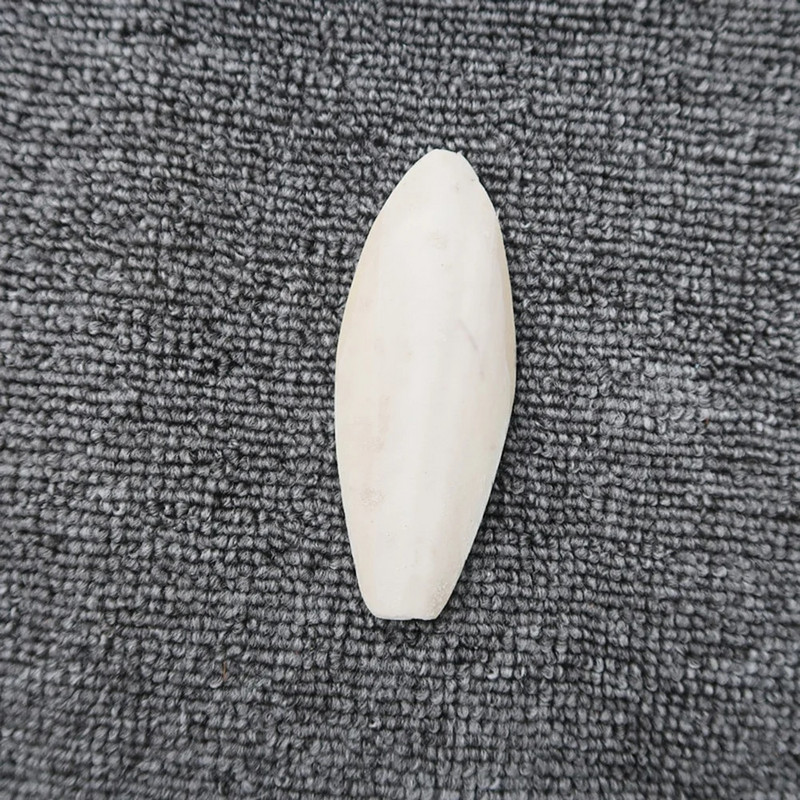 SWEETHOME plastikinis sepijos kaulo laikiklis papūgos paukščių priedams, kalcio vitaminų papildams