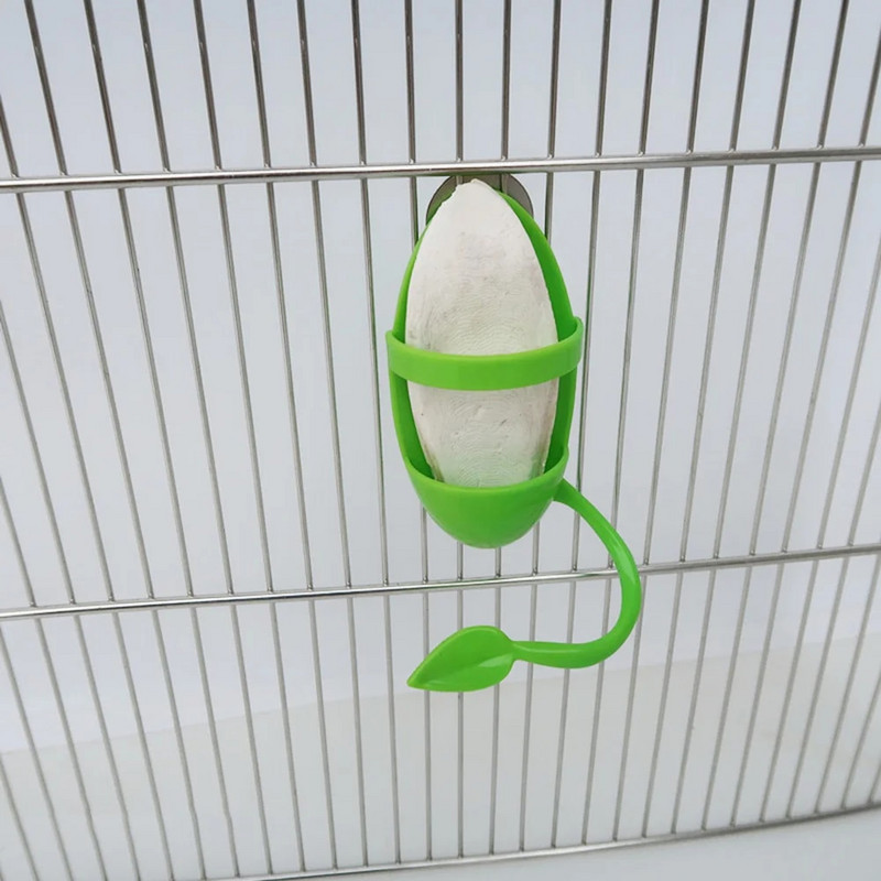 SWEETHOME plastikinis sepijos kaulo laikiklis papūgos paukščių priedams, kalcio vitaminų papildams
