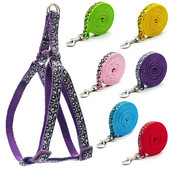 Madingi mažo šuns katės diržai pavadėlis reguliuojamas liemenės antkaklis šuniukas vaikščiojantis lauke čihuahua terjeras Šnaucerių šunų priedai