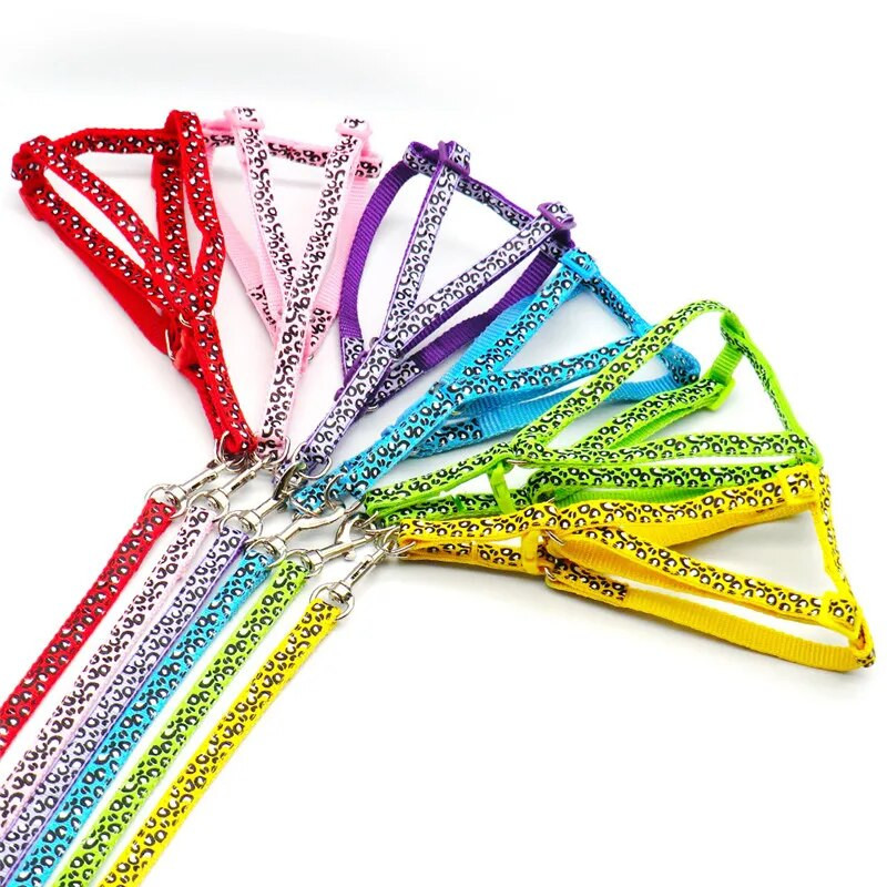 Madingi mažo šuns katės diržai pavadėlis reguliuojamas liemenės antkaklis šuniukas vaikščiojantis lauke čihuahua terjeras Šnaucerių šunų priedai