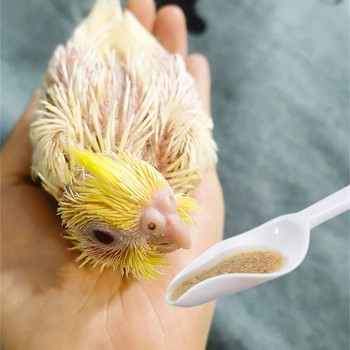 1/5 τεμ. Bird Parrots Feeder Pooned Milk Avoid for Baby Bird Feeder & Πότισμα - Προμήθειες