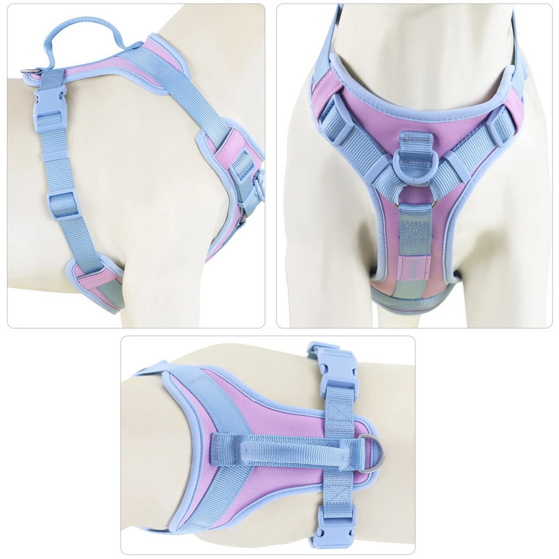 Culori de îmbinare pentru ham pentru câini mijlocii, fără tragere pentru câini de talie mică, curea de lux reglabilă pentru piept, pachet de ham pentru câini