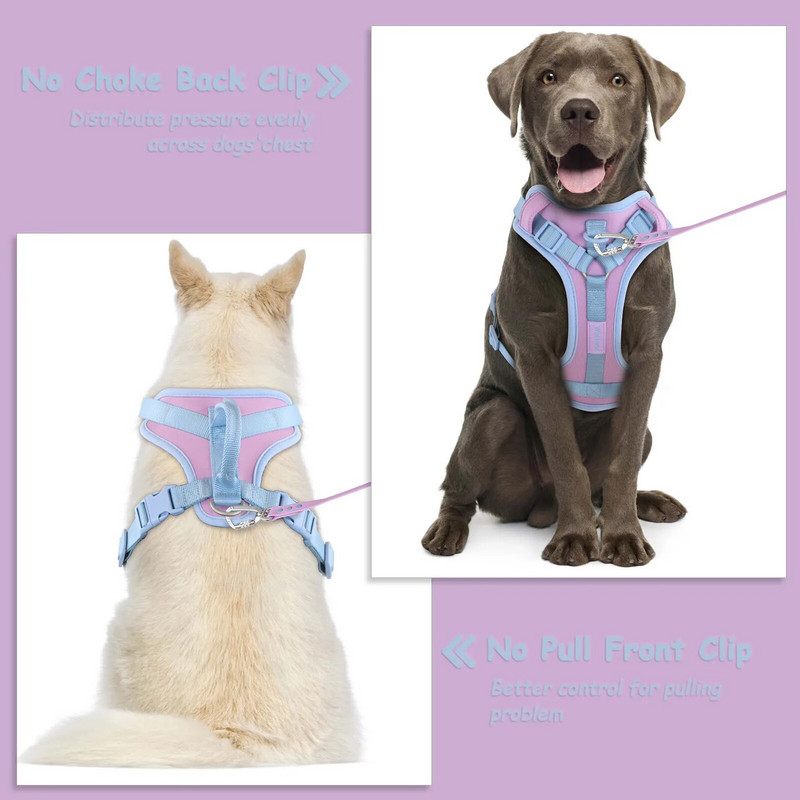 Culori de îmbinare pentru ham pentru câini mijlocii, fără tragere pentru câini de talie mică, curea de lux reglabilă pentru piept, pachet de ham pentru câini