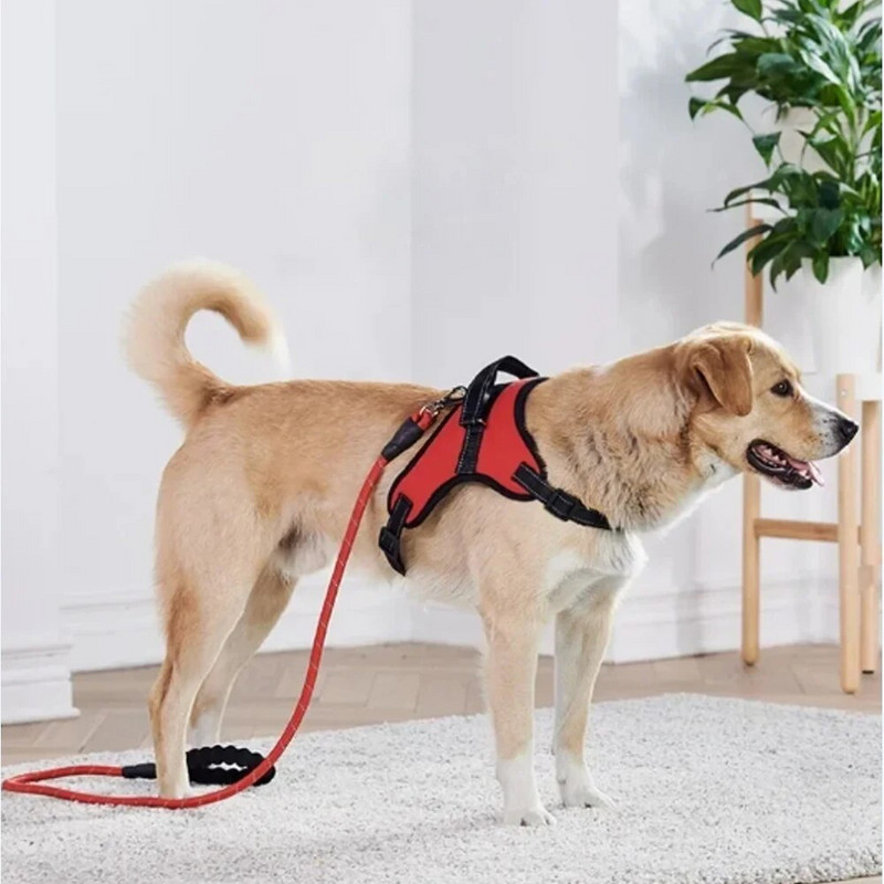 Hamuri pentru câini în stil clasic, fără tragere, din nailon, durabil, reglabil, pentru câini de companie, cu mâner, pentru antrenament, pentru câini, ciobănesc german