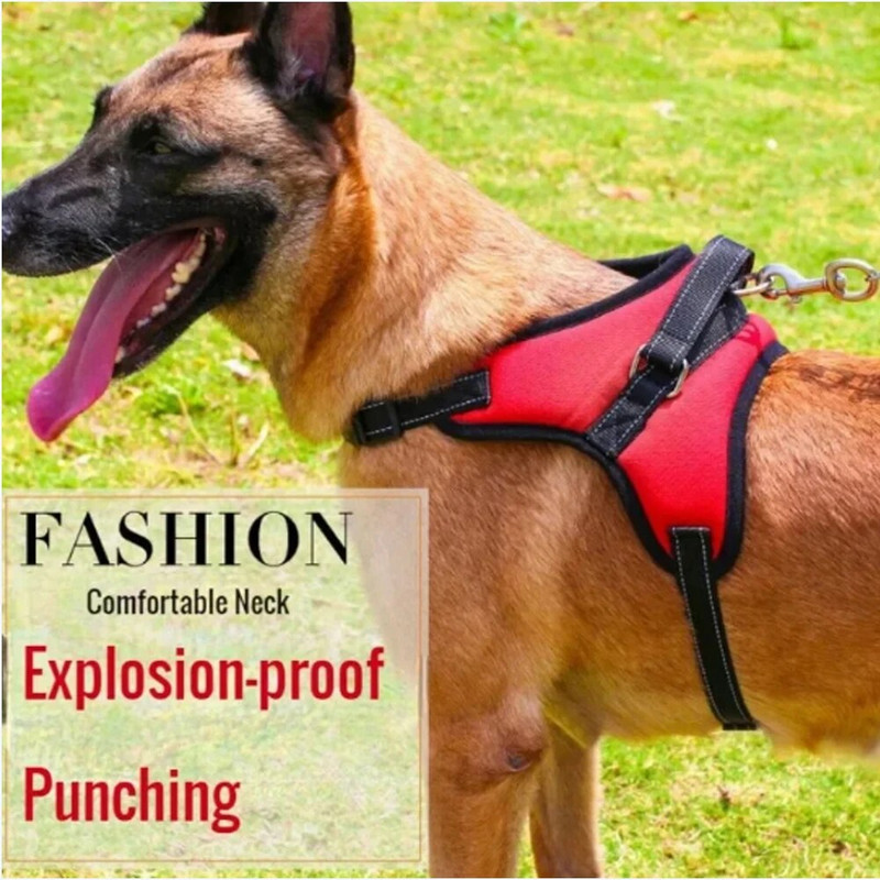 Hamuri pentru câini în stil clasic, fără tragere, din nailon, durabil, reglabil, pentru câini de companie, cu mâner, pentru antrenament, pentru câini, ciobănesc german