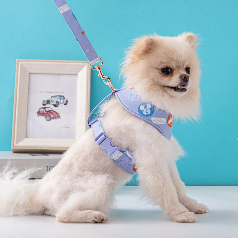 Disneja kokvilnas komforta veste krūškurvja siksna āra atpūtai suņu pavada suņu iejūga un pavadas komplekts suņu kaklasiksnas suņu piederumi