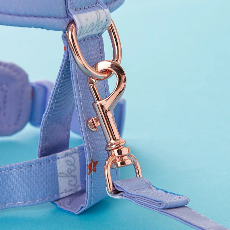 Disneja kokvilnas komforta veste krūškurvja siksna āra atpūtai suņu pavada suņu iejūga un pavadas komplekts suņu kaklasiksnas suņu piederumi