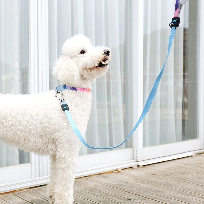 Pavadėlio diržų antkaklis automobilio saugos diržo dviguba rankena mažiems vidutinio dydžio šunims, patraukli vaivorykštės spalva, aukštos kokybės patvari medžiaga
