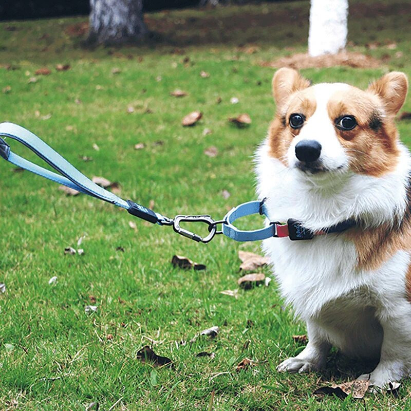 Pavadėlio diržų antkaklis automobilio saugos diržo dviguba rankena mažiems vidutinio dydžio šunims, patraukli vaivorykštės spalva, aukštos kokybės patvari medžiaga