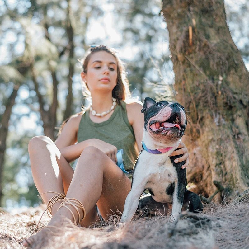 Pavadėlio diržų antkaklis automobilio saugos diržo dviguba rankena mažiems vidutinio dydžio šunims, patraukli vaivorykštės spalva, aukštos kokybės patvari medžiaga