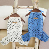 NAUJAUSI Naminių šunų kombinezonas Drabužiai Vasariniai smėlio spalvos Mėlyni Sling Onesie Drabužiai šuniui Šuniuko kačiuko kelnaitės 4 kojytės megztinis Kombinezonai Yorkie