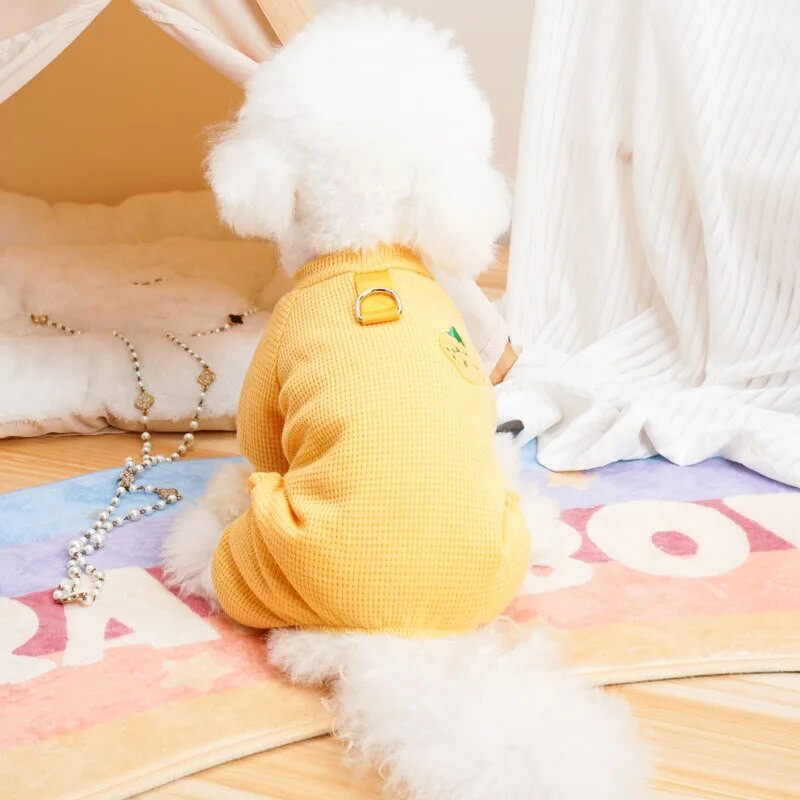 Vaisių raštų šunų pižamos, kombinezonas, saldainių spalva, naminių šunų drabužiai, šuniukai, 4 kojų gobtuvas, ruduo, žiema, XXL