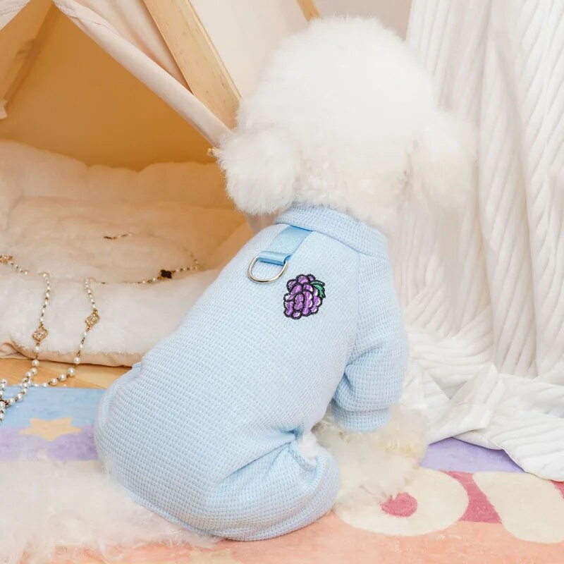 Vaisių raštų šunų pižamos, kombinezonas, saldainių spalva, naminių šunų drabužiai, šuniukai, 4 kojų gobtuvas, ruduo, žiema, XXL