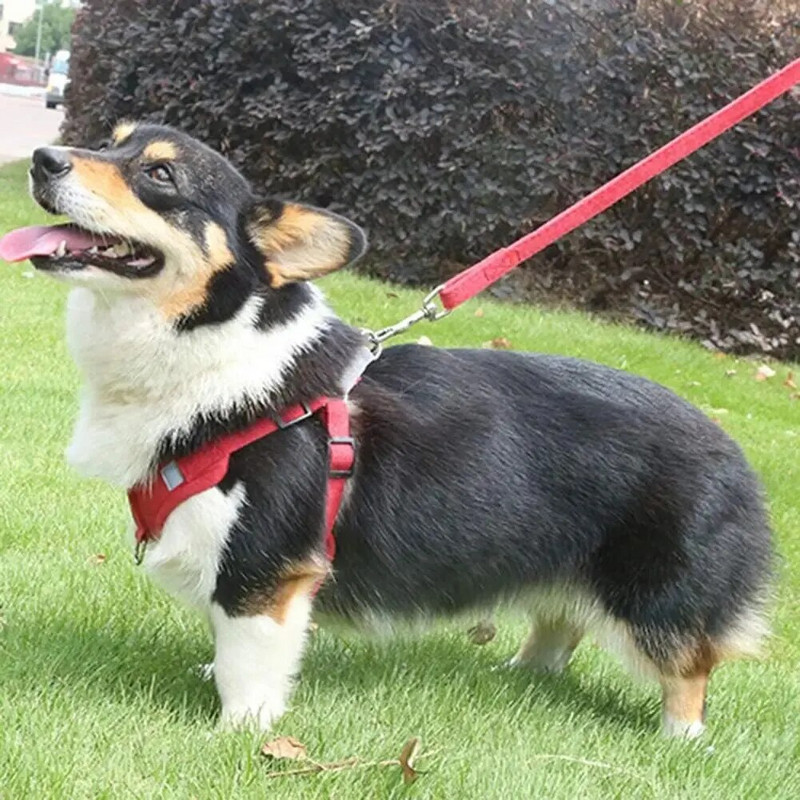 Šunų liemenių diržai Reguliuojami petnešėlės naminiams gyvūnėliams mažiems ir vidutiniams šunims su pavadėliu naminių gyvūnėlių krūtinės šviesą atspindintys zomšinės liemenės tipo diržai šunims