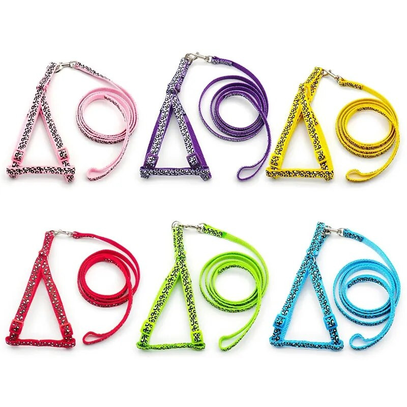 Kutyahám és póráz divatos leopárd mellkasi heveder nyakörv a cicasétáltatáshoz A kutyakiegészítők Chihuahua mellény Anti-lost