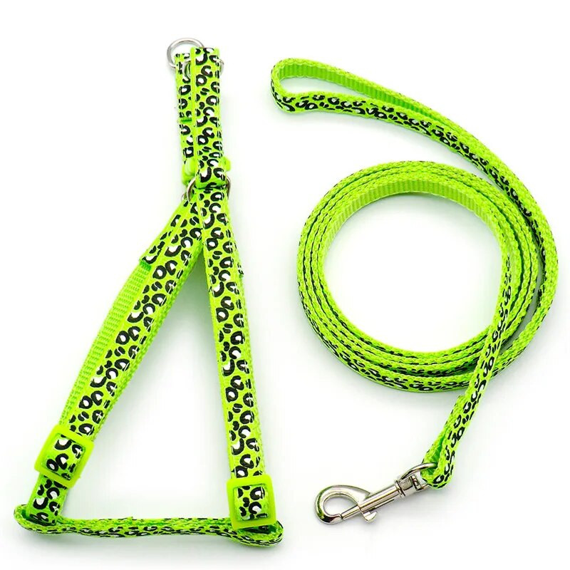 Kutyahám és póráz divatos leopárd mellkasi heveder nyakörv a cicasétáltatáshoz A kutyakiegészítők Chihuahua mellény Anti-lost